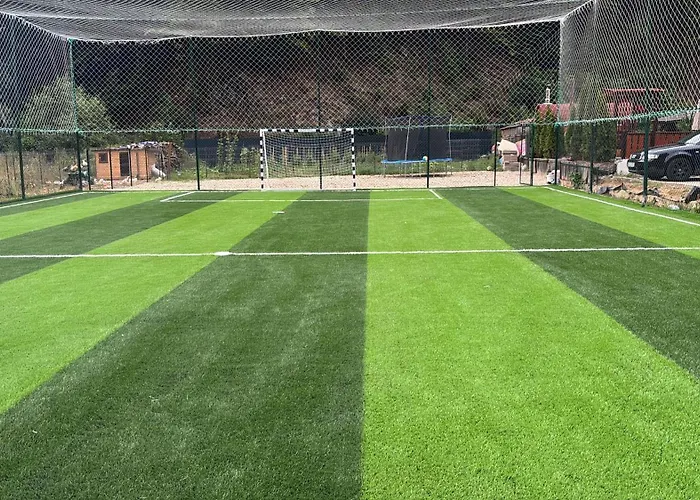 Pensiunea Casa DavidPensiune