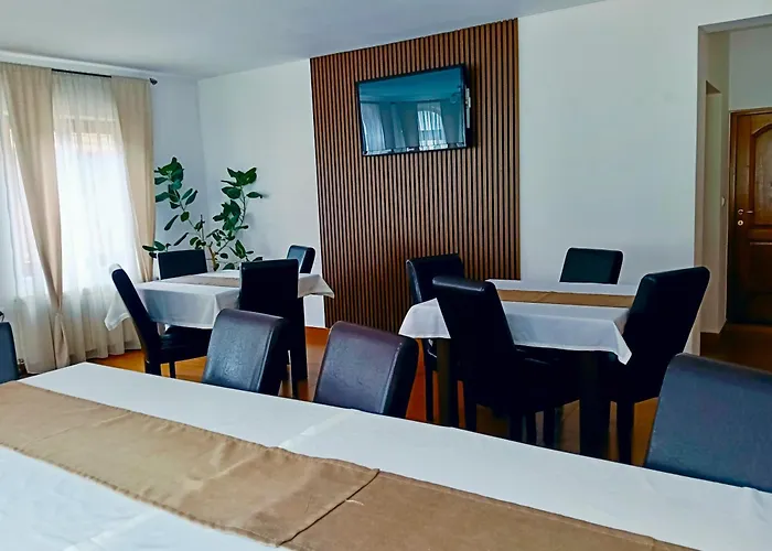 Pensiunea Silva Dobra